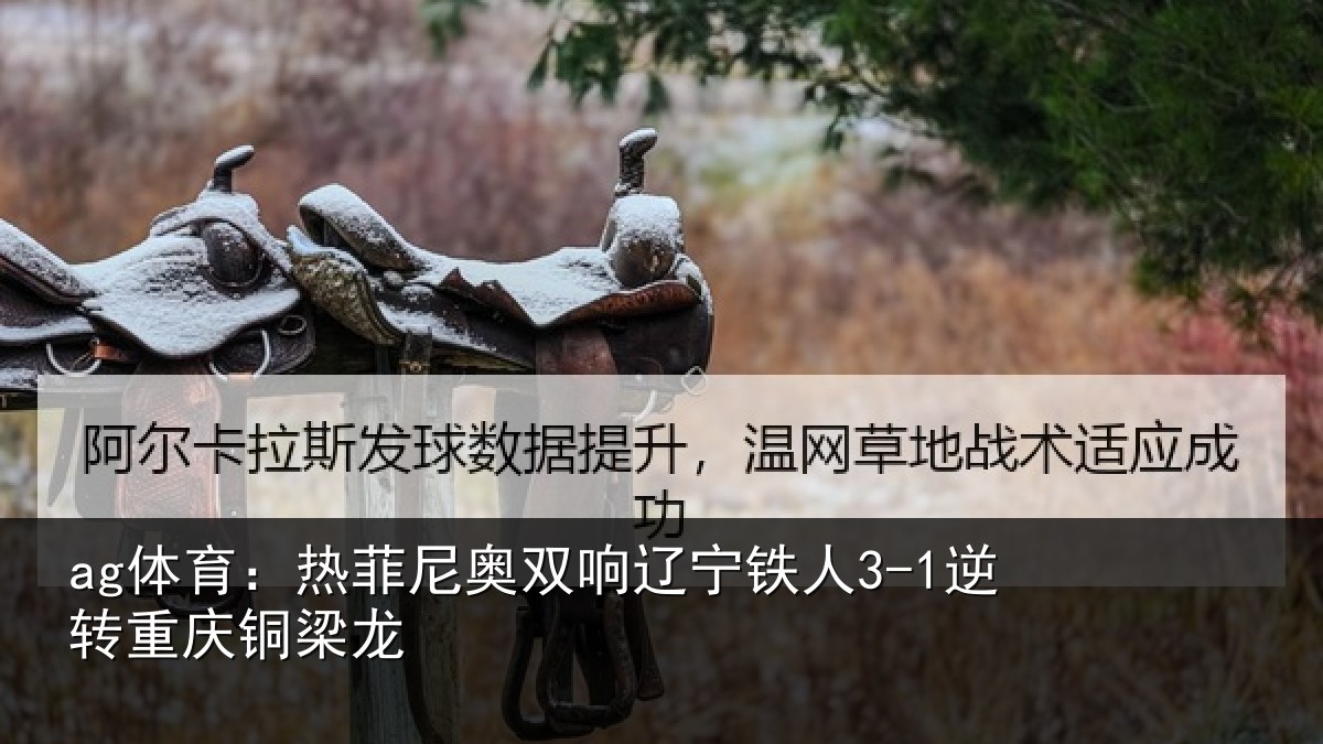 ag体育:热菲尼奥双响辽宁相关情况龙